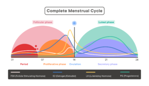 Optimising Training and Racing Around Your Menstrual Cycle — High