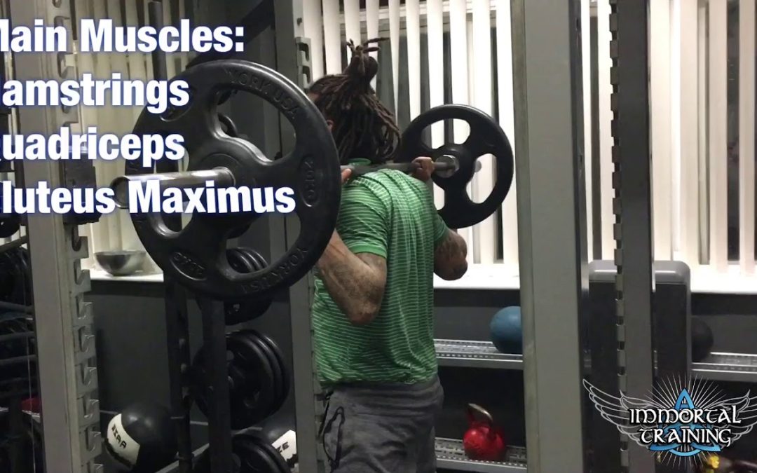Box Squats