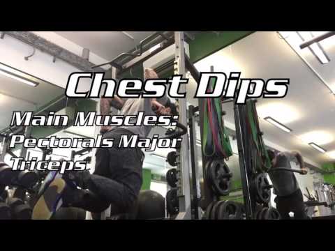 Chest Dips