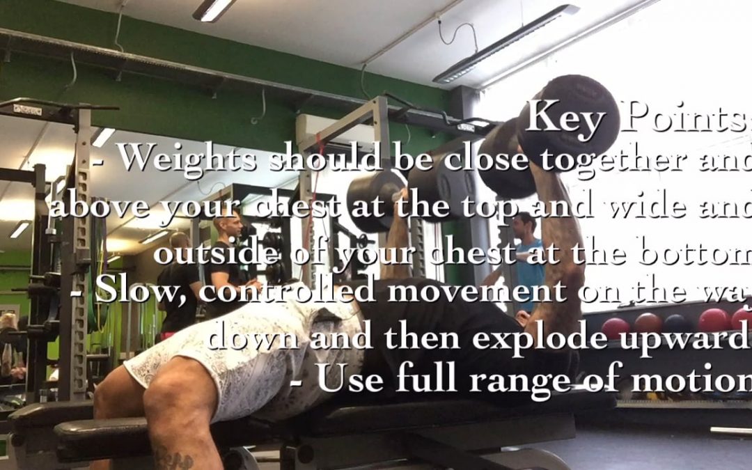 DB Chest Press