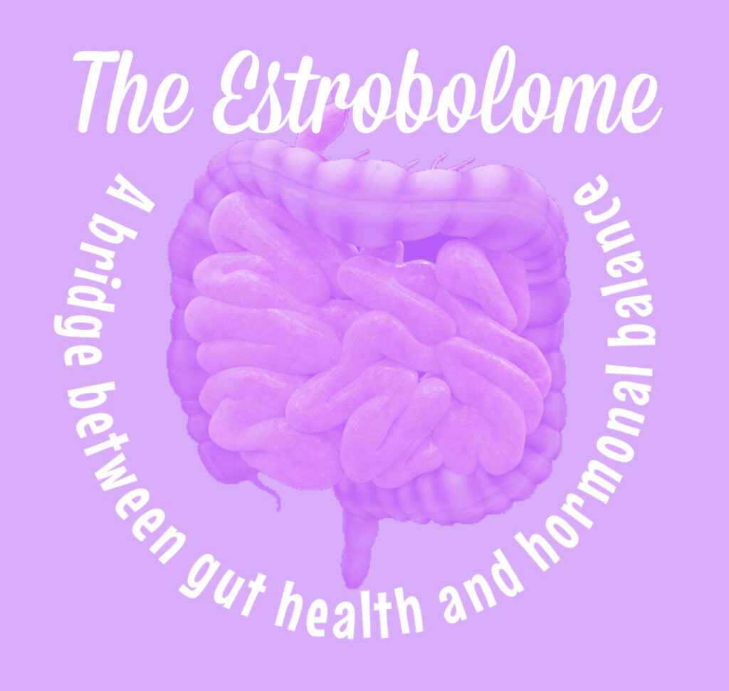 estrobolome microbiota